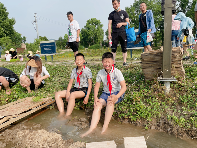 【湖畔光影】田间插秧践初心 红色传承担使命——记金陵小学（仙林湖校区）劳动实践活动_html_5af8dc64.png