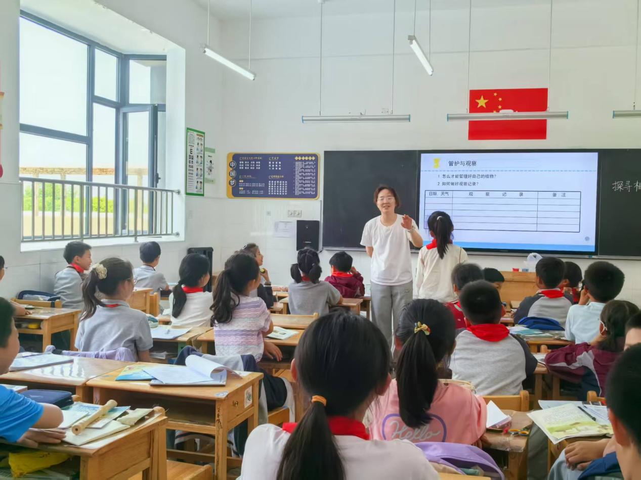 【博学广志】探寻板蓝根的成长密码——南京市金陵小学广志路校区科学组校本主题研修_html_m10c3cb2c.jpg