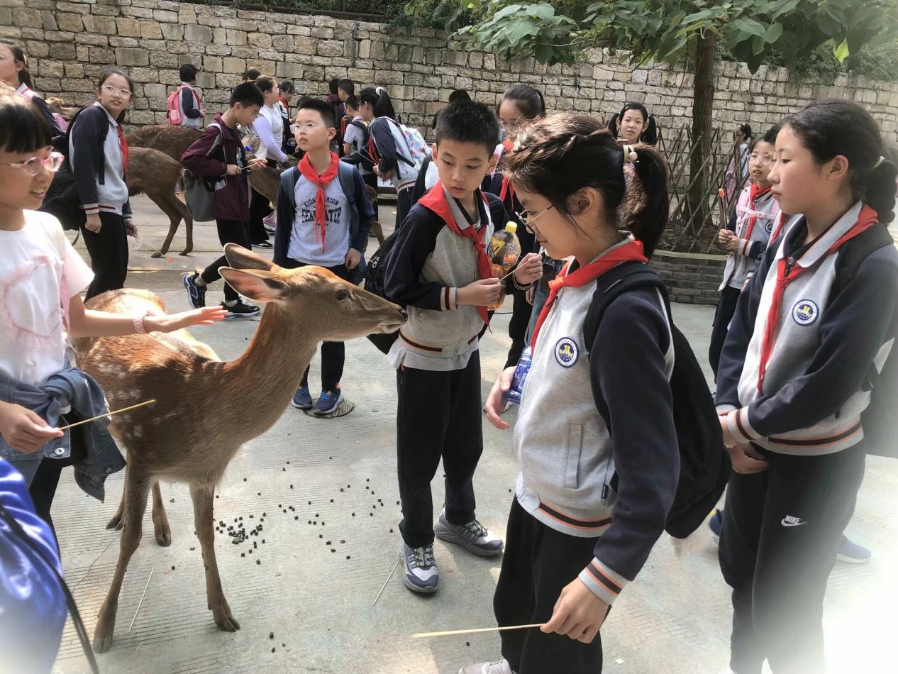 【湖畔•学生活动】秋日拾趣，一路童行金陵小学（仙林湖校区）六年级秋季综合实践活动_html_m54b77454.jpg