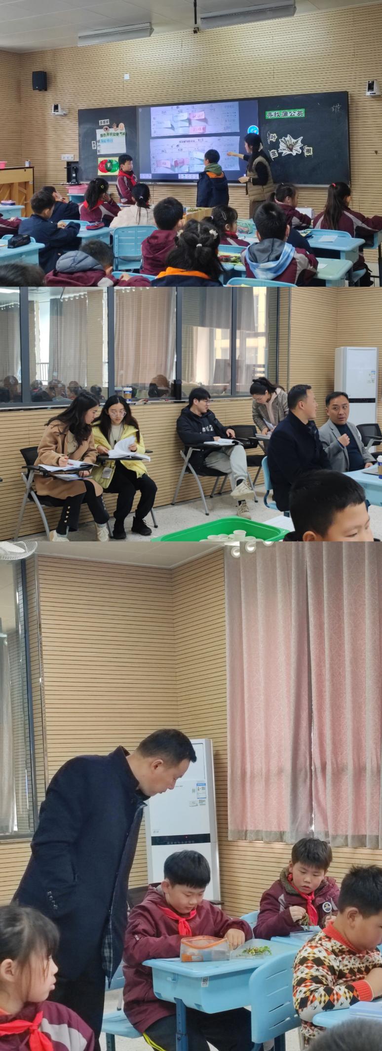 【博学广志】中草药引领实践 蒲公英伴我成长——金小广志主题实践活动不断推进_html_m603f62a9.jpg