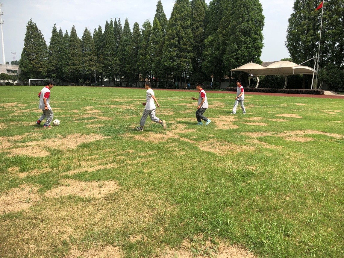 足球比赛_html_53e89e83.jpg