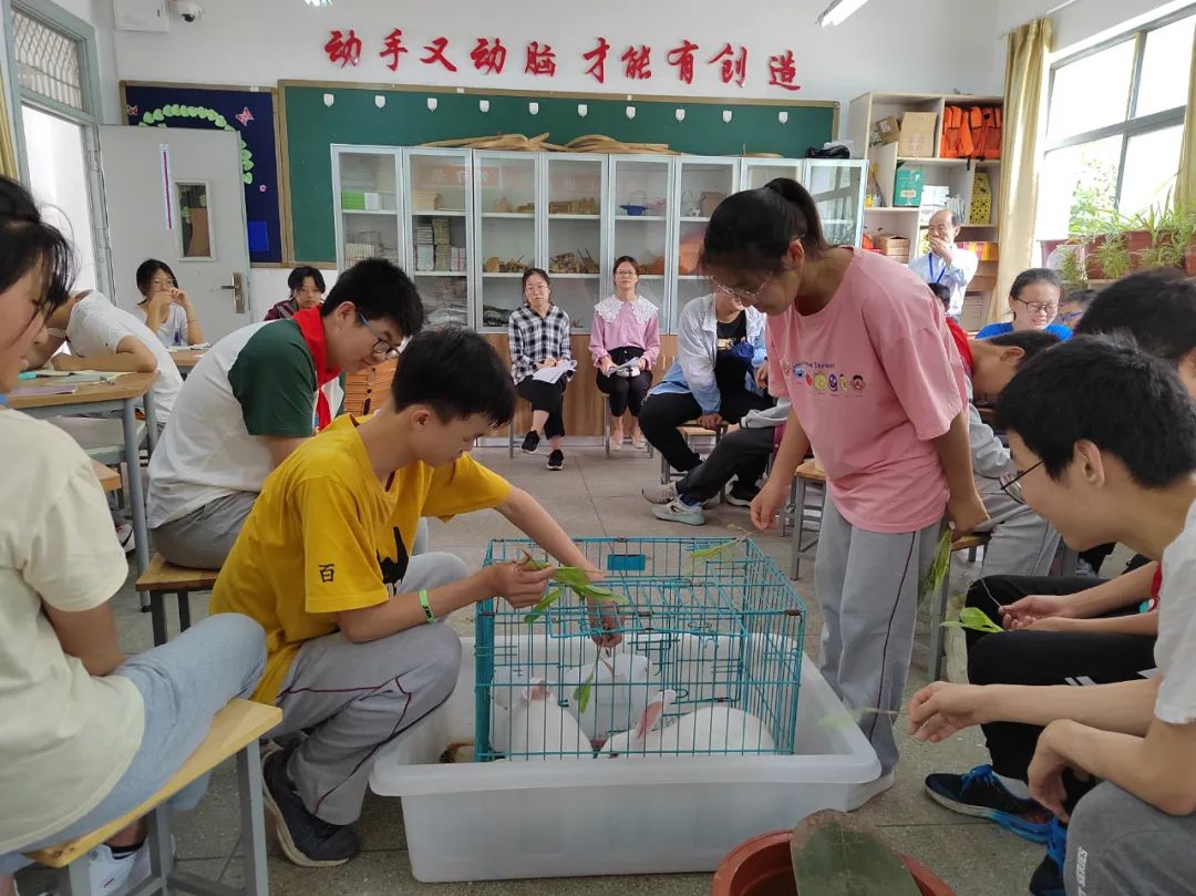 【尊荣营中】研讨劳动课，探索新途径