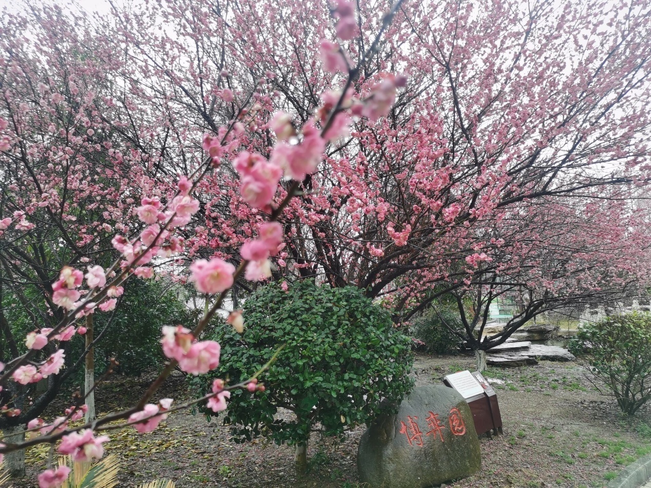 开学典礼新闻稿(2)_html_m68538f86.jpg