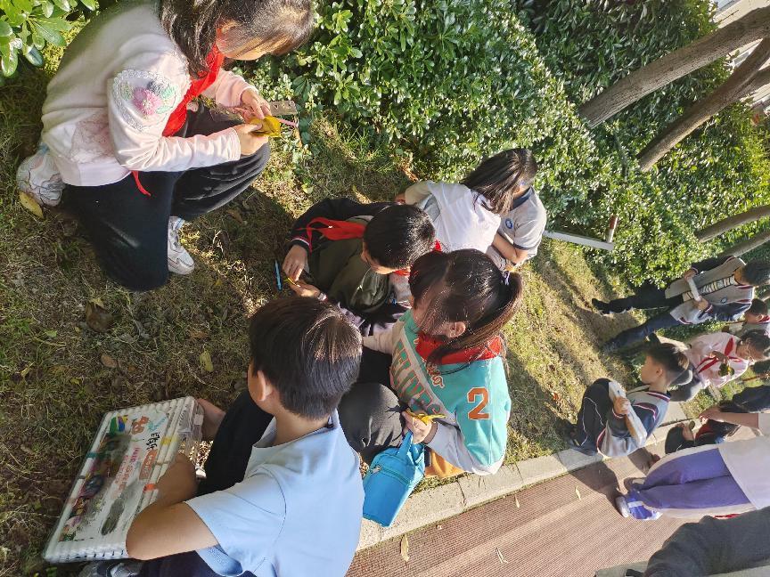 劳动＋美育 2024.10.28_html_344f8fa.jpg