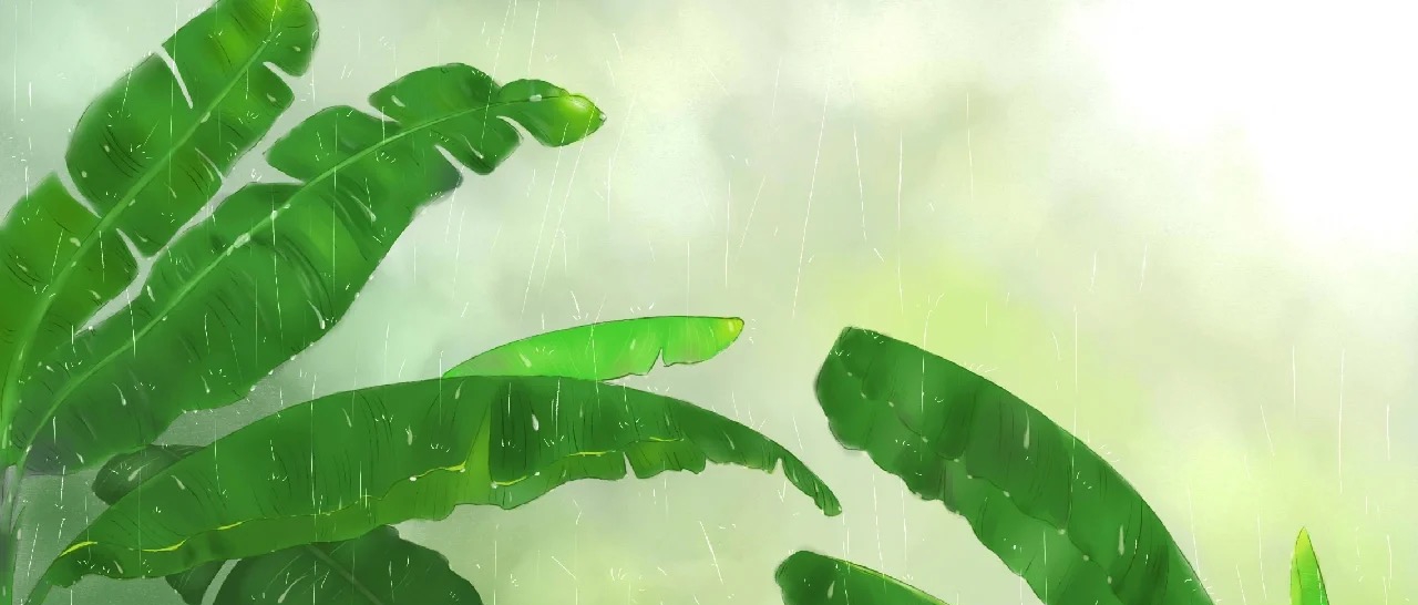 图片6.png