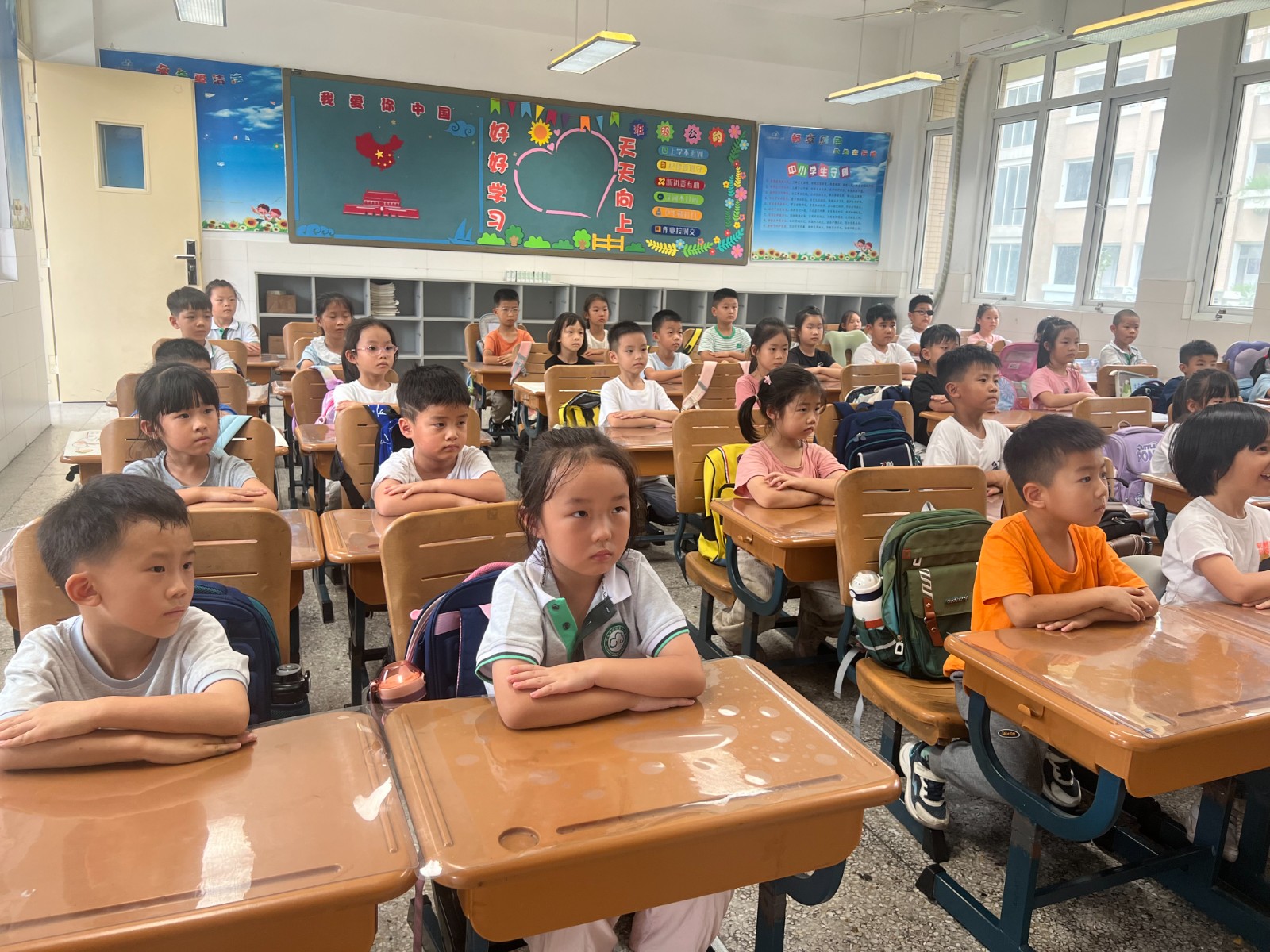 IMG_4382.JPG IMG_4382.JPG