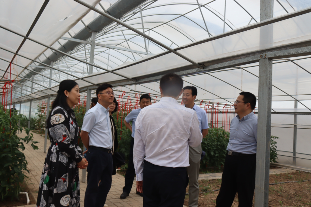 绿意盎然迎贵客 合作交流开新篇--5.19葛军校长参观实践基地_html_77f783a5.png