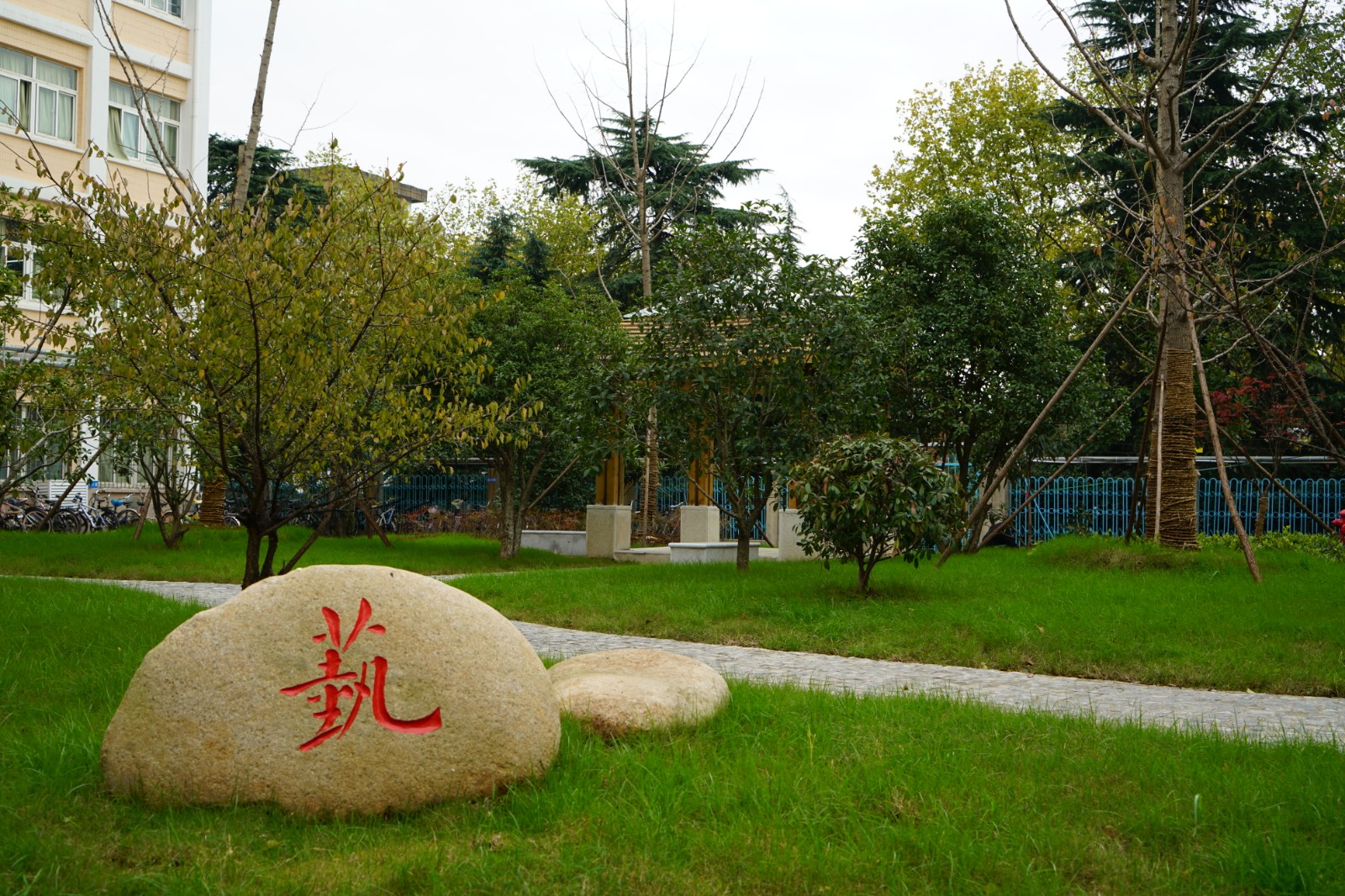 【百炼石苑·美丽校园】