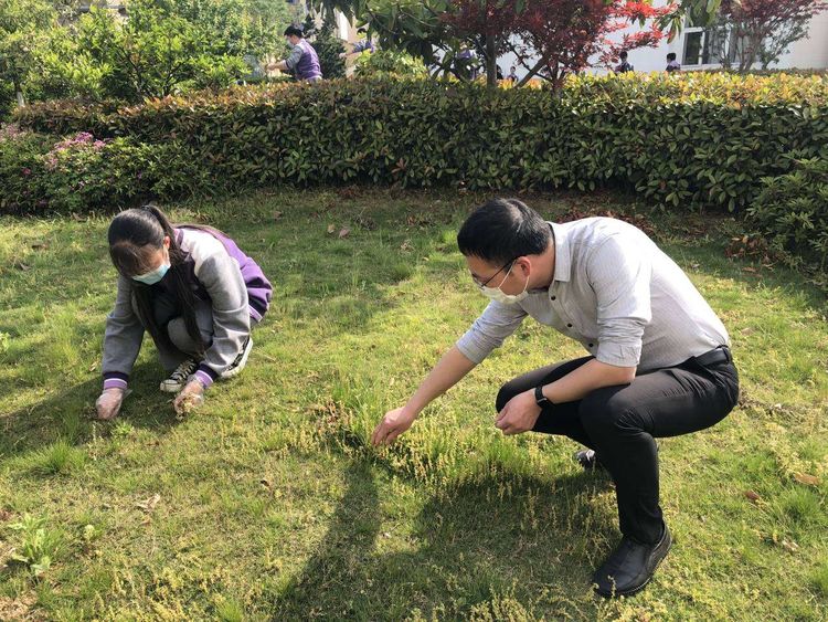 【百炼实初】实施劳动教育   开发自然课程——实初南炼迎五一劳动小记