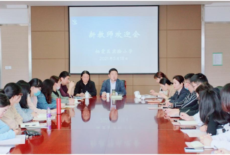 图片 13.png