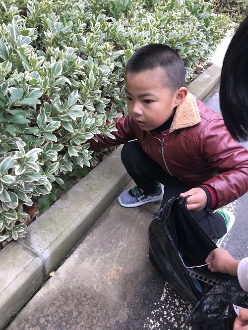 【花港一小】坚持垃圾分类 呵护绿水青山（二十六）环保小卫士（14）