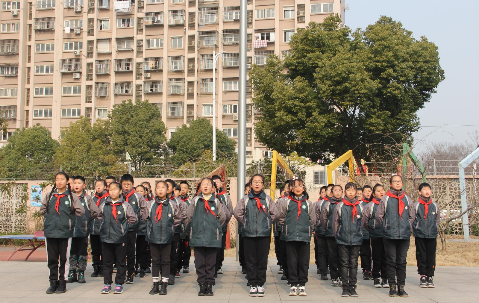《白鹭》1.JPG