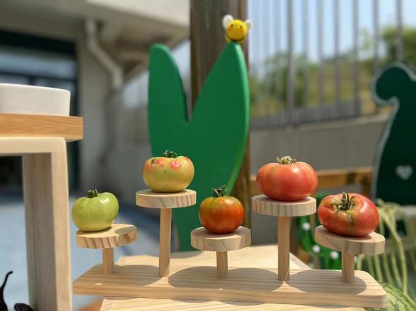 集团种植地评比新闻_html_290a14f4.jpg