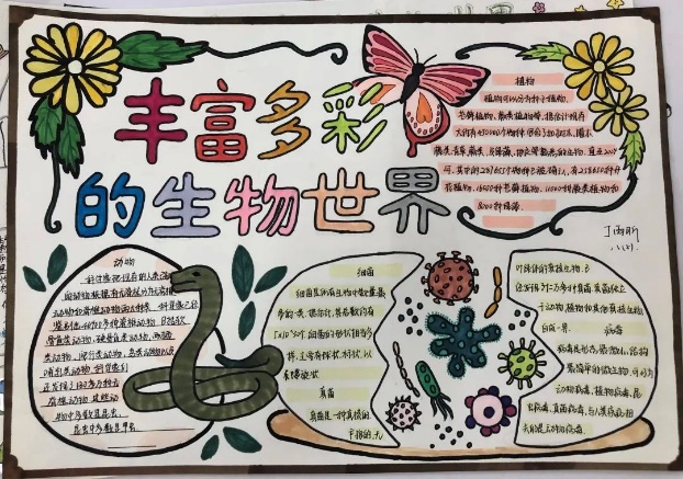 八年级暑期作业_html_714a0071.jpg