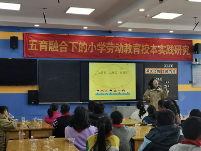【正学丁三·教学】五育融合新篇章 劳动教育显成效——南京市丁家庄第三小学劳动组校本主题研修活动侧记（四）491.png