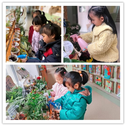 迈幼一分园3月12日植树节报道 （最终版本）_html_m121dc94.jpg