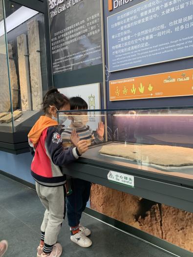 2021.4.19 左琳琳 走进南京古生物博物馆_html_18c9a02.jpg
