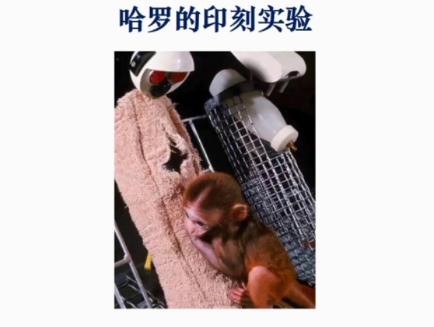 2021.4.11 刘素洁【教育科研】共促幼儿成长，家园合作显真章_html_62d45b37.jpg