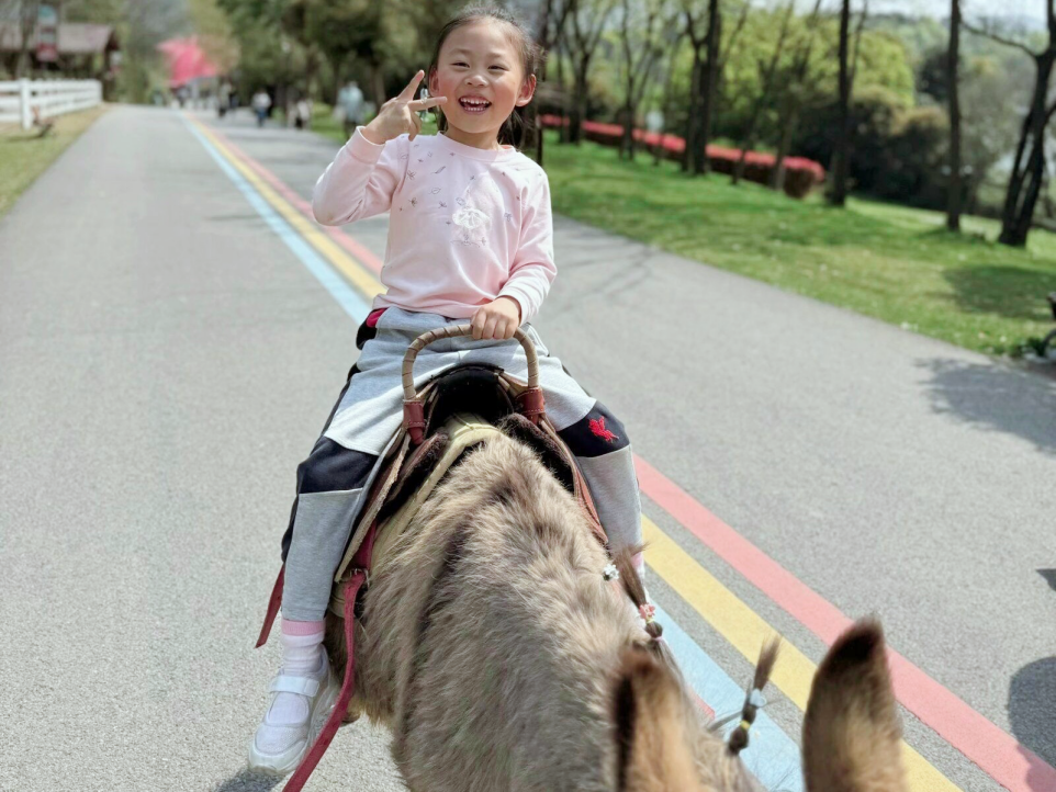 定稿：春游新闻稿(1)_html_m5464f143.png