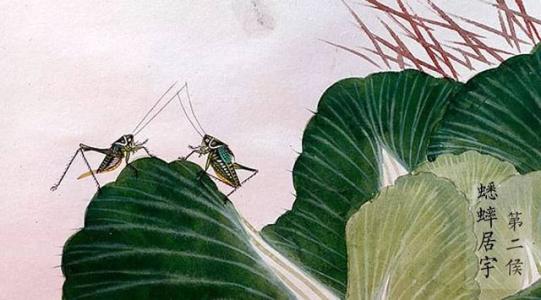 2020.7.6 赵华 倏忽温风至，因循小暑来_html_d8f6621.jpg