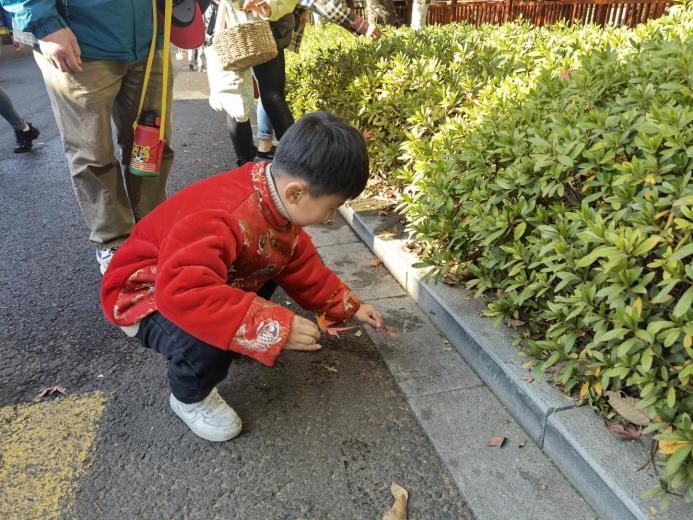 大二班报道 “枫叶之旅”_html_m2443e9f2.jpg