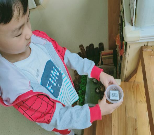 2020.9.17 小乌龟栖霞板_html_643a1977.jpg