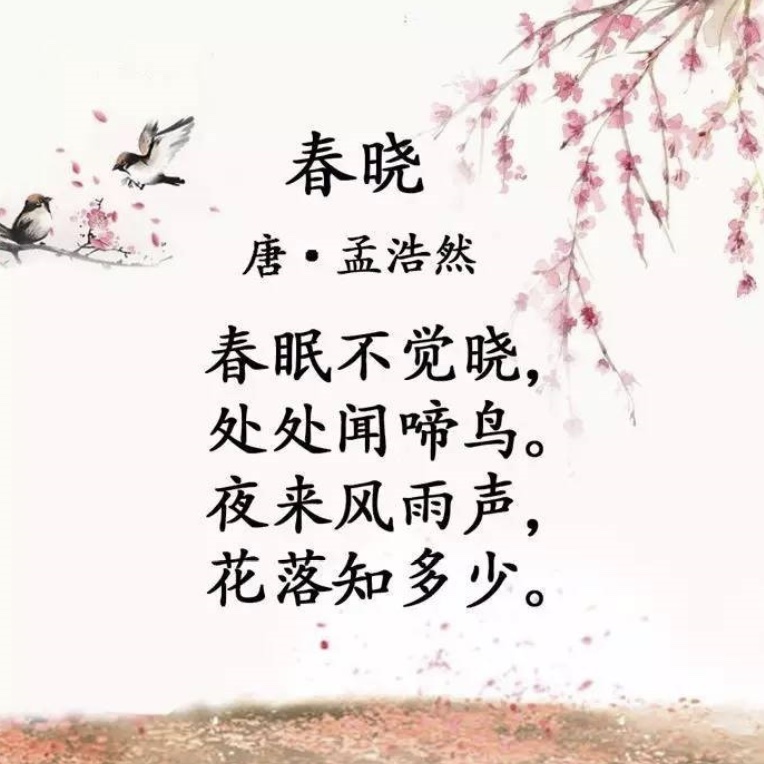 2022.3.16【生命迈幼·校园新闻】云上相约 “童”样精彩(1)_html_m70ff435d.jpg