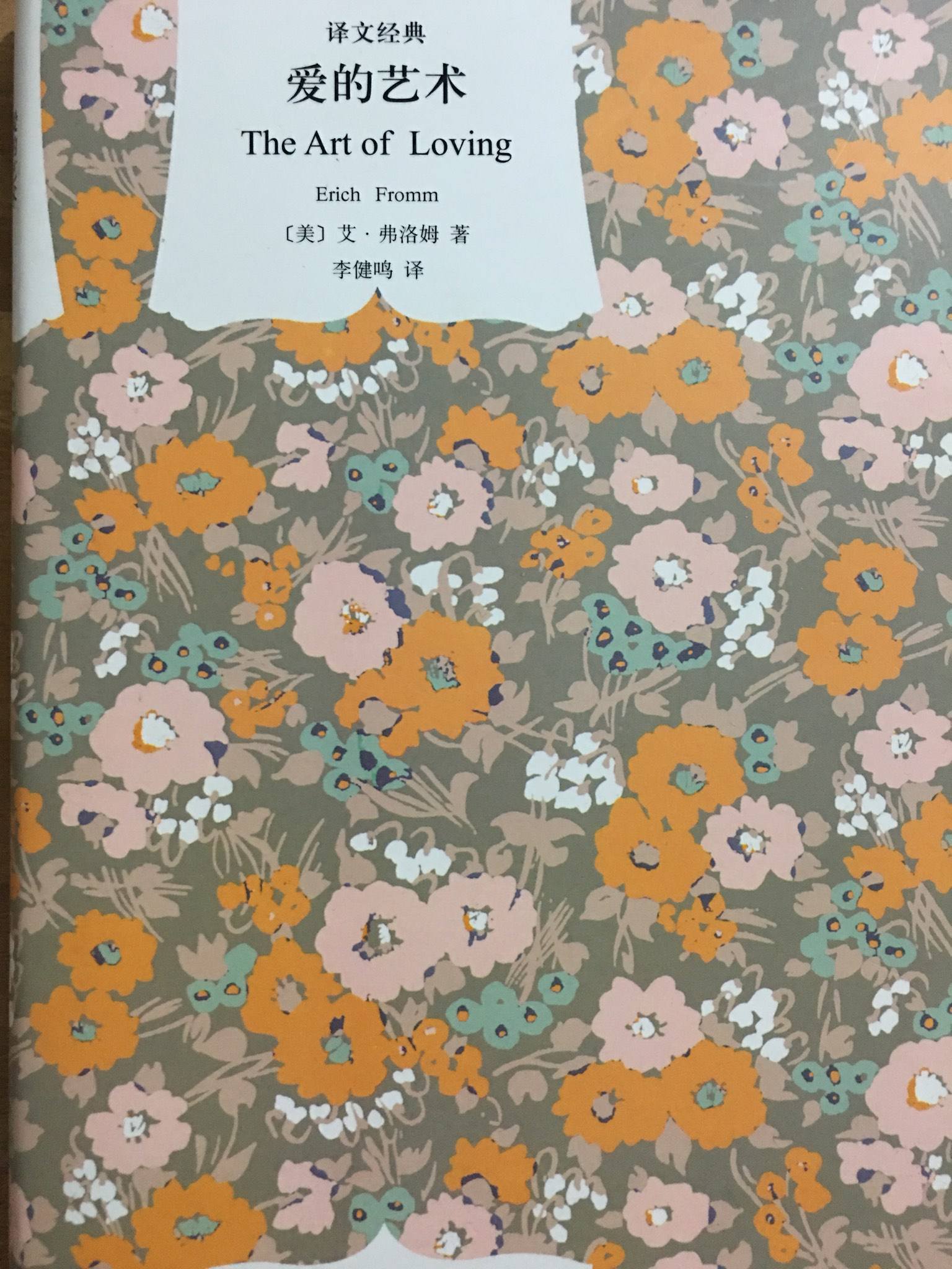 《爱的艺术》读书沙龙_html_2740700f.jpg
