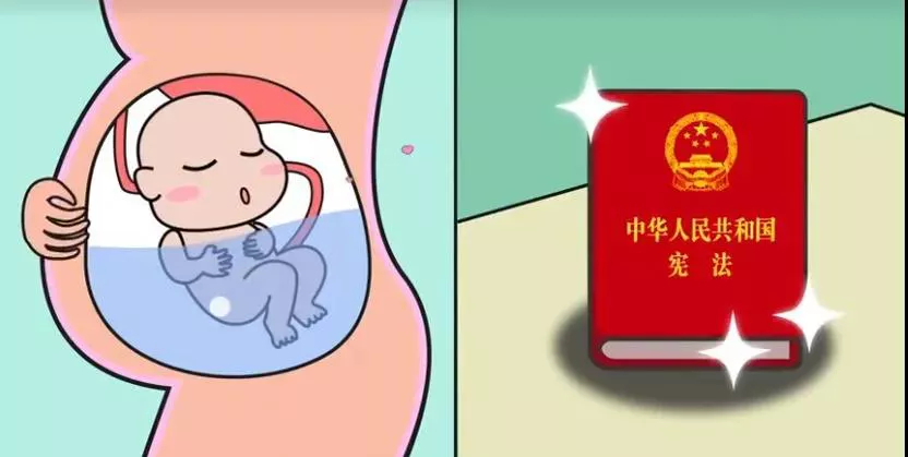 学法明理，“宪”在行动(3)_html_m112a176a.png