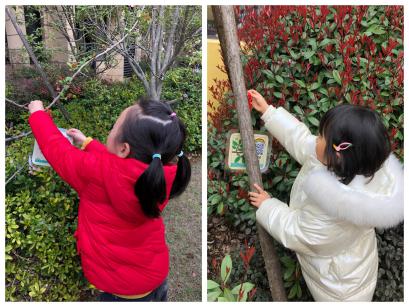 20210312新城植树节活动_html_13dba39e.jpg