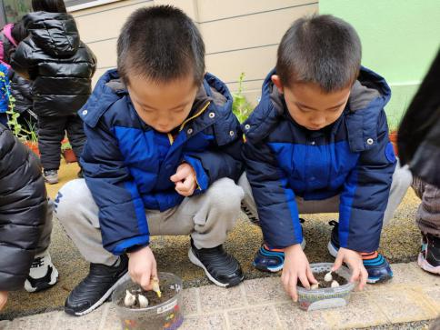 20210312新城植树节活动_html_226dc79.jpg