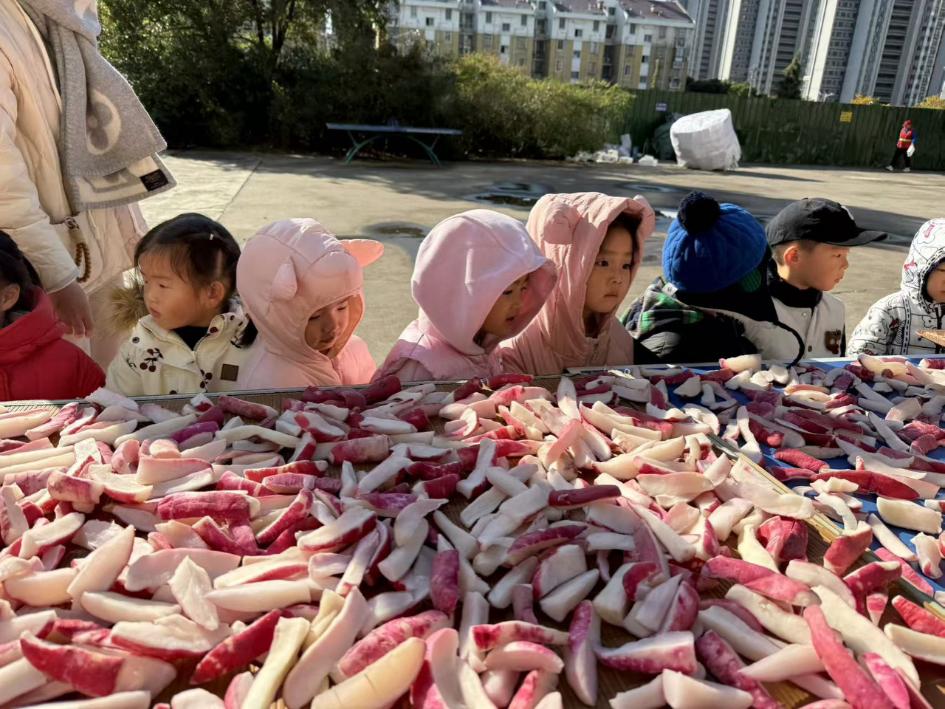 20241227【生活燕幼&middot;园区动态】新城分园：携手社区，收获成长_html_428014b9.jpg