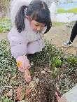 20240305中二班惊蛰节气活动_html_125c630e.jpg