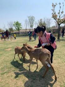 20210409祥和园区亲子秋游活动_html_m6cc62e7b.jpg