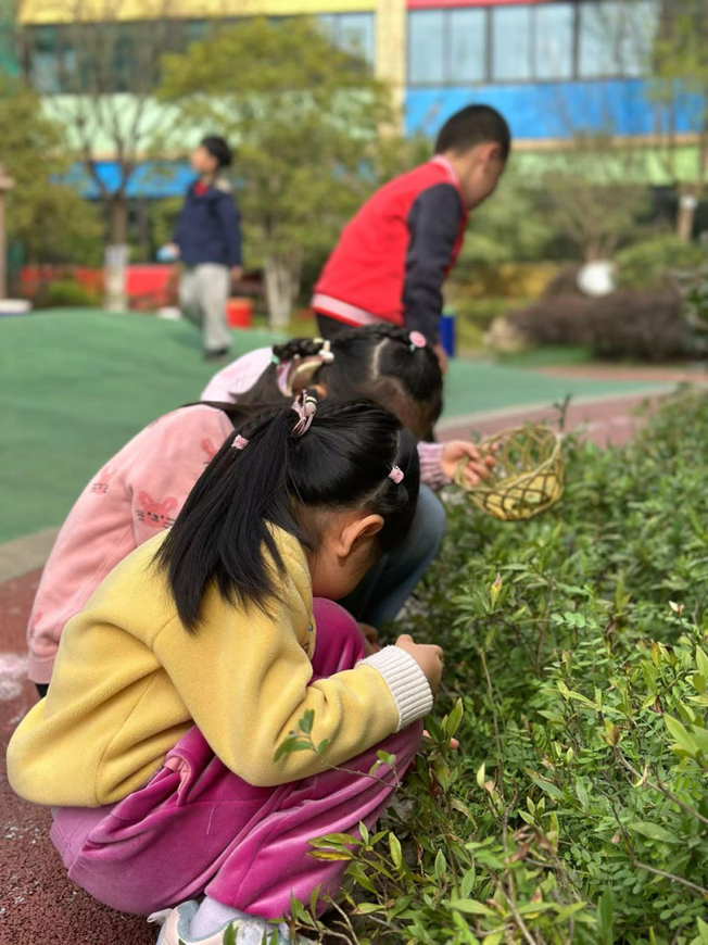 20240403大四班清明节气活动_html_m2ab514e0.png