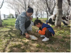 20240329 【生活燕幼&middot;园区动态】春天不是读书天——小桃子研学活动_html_m392ee9cd.png