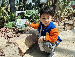 20240418【生活燕幼·园区动态】“春来日渐长，儿童寻春忙”——春游活动_html_7eeb2f14.png