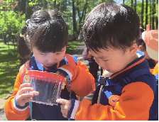 20240418【生活燕幼·园区动态】“春来日渐长，儿童寻春忙”——春游活动_html_2ec99db1.png
