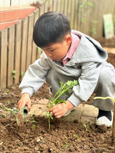 20240419【生活燕幼·园区动态】下庙分园：“知谷雨，润童心”——谷雨节气活动_html_m7ee7fecc.jpg
