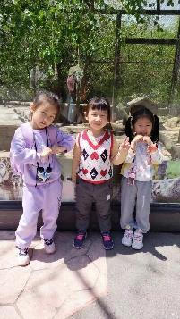 20240418燕幼中心园亲子春游活动_html_m4f9e4f78.jpg
