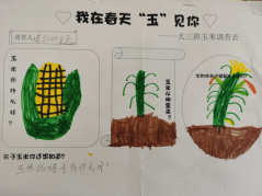 祥和园大班年级组清明项目活动新闻稿_html_734b8789.png