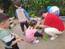 20210531祥和园种植团新闻_html_4951250f.jpg