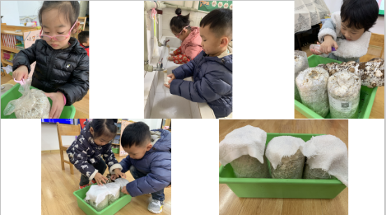 20210112祥和园区项目活动分享评比_html_7a9b29ef.png