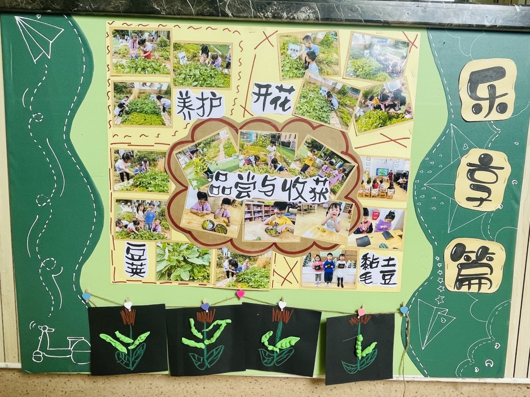 20220614【园区动态】下庙园区：“播种希望 收获成长”——班级种植墙评比活动新闻稿_html_m6a2a38d.jpg