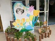 20230224燕幼中心园：新学期，新变化_html_5be6554f.jpg