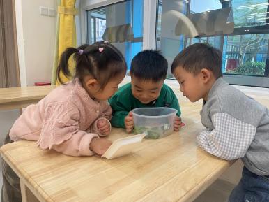 【生活燕幼&middot;教科研动态】 潜心教研　共促成长——科学组公开课教研活动_html_m2957adb8.jpg