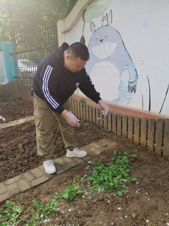 【生活燕幼·年级组动态】下庙分园：“拾秋季，探种植”——小班组种植团活动(1)_html_1122df6f.jpg
