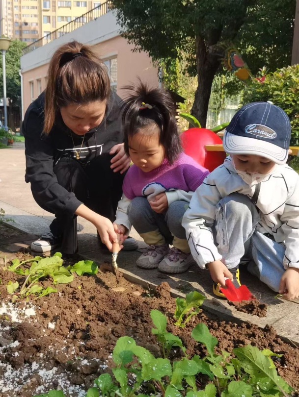 【生活燕幼·年级组动态】下庙分园：“拾秋季，探种植”——小班组种植团活动(1)_html_m331863fe.jpg