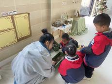 20250623【生活燕幼·园区动态】新城分园：家校携手育幼苗，多元活动促成长——家长资源团活动纪实_html_28c024f3.jpg