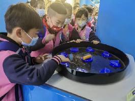 【生活燕幼·年级组动态】燕幼中心园“小学初体验，衔接零距离”——大班社区活动参观小学_html_m232724cb.jpg